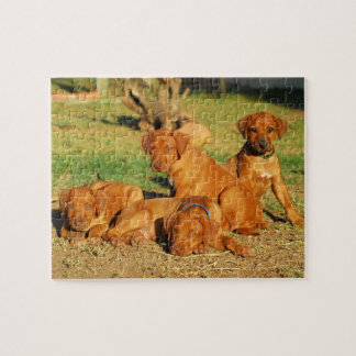 Ridgeback-puppies Rhodezische puzzel