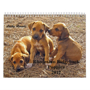 Ridgeback-Puppies Rhodezische Ridgeback 2012 Kalender