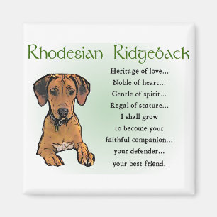 Ridgeback Rhodesian Gifts Magneet