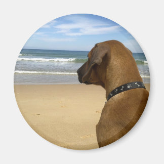 Ridgeback Rhodezische producten Magneet