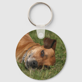 Ridgeback Sleutelhanger Rhodesian
