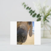 Ridgeback Stuff Briefkaart (Staand voorkant)