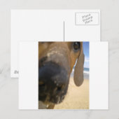 Ridgeback Stuff Briefkaart (Voorkant / Achterkant)