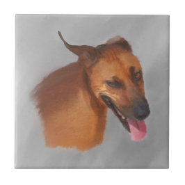 Ridgeback Tegeltje