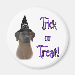 Ridgeback Trick Magneet