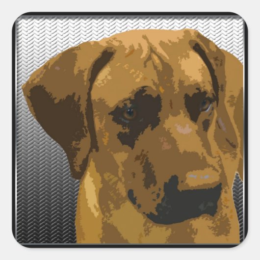 Ridgeback Vierkante Sticker (Voorkant)