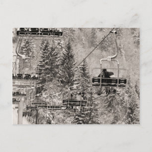 Riding above the trees briefkaart