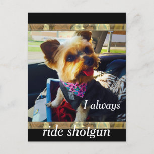 Riding Shotgun Yorkie Personalize Briefkaart