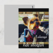 Riding Shotgun Yorkie Personalize Briefkaart (Voorkant / Achterkant)