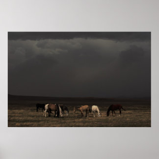 Riemen van het Storm Poster