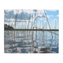 Riet en reflecties op Rice Lake