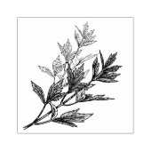 rietontwerp 	rubberstempel (Afrduk)