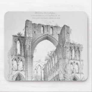 Rievaulx Abbey Muismat