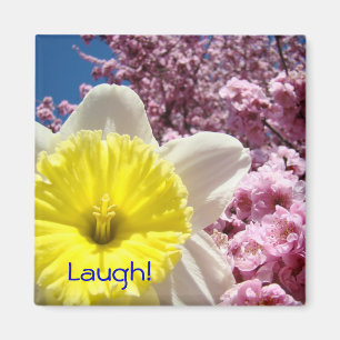 Riez ! aimant Jaune Jonquille Fleur Floraison Rose