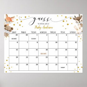 Rij-door Baby shower Raad Vervaldatum Agenda Poster