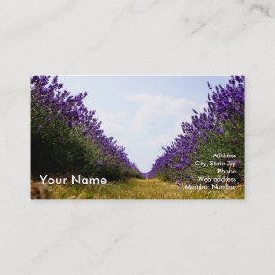Rij Lavender Visitekaartje