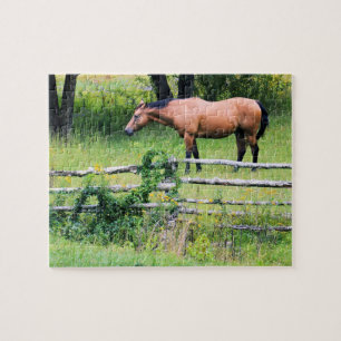 Rij meer - minder zorgen - paardenschaal - 8x10 legpuzzel