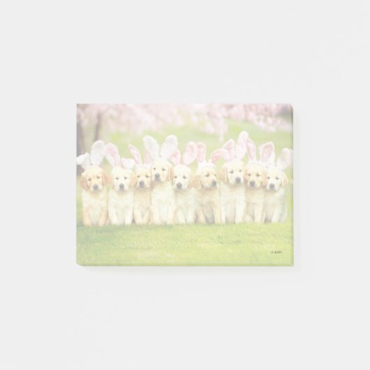 Rij puppy konijnen post-it® notes (Voorkant)