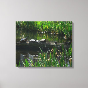 Rij schildpadden groene natuur foto canvas afdruk