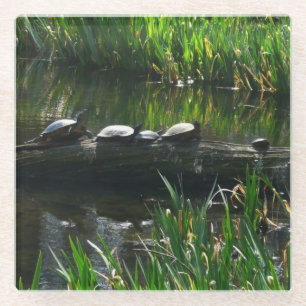 Rij schildpadden groene natuur foto glazen onderzetter