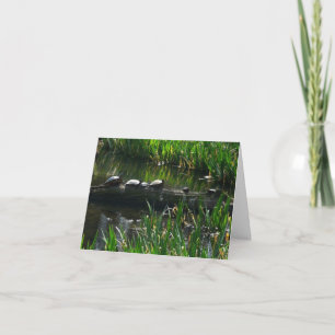 Rij schildpadden groene natuur foto kaart