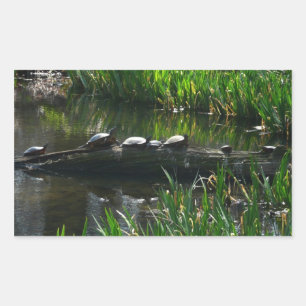 Rij schildpadden groene natuur foto rechthoekige sticker
