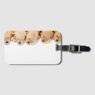 Rij slapende Golden Retriever-puppy's Bagagelabel