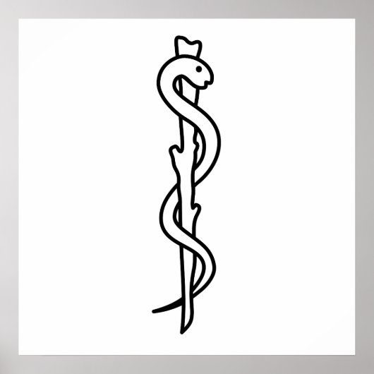 Rij van Asclepius Poster (Voorkant)