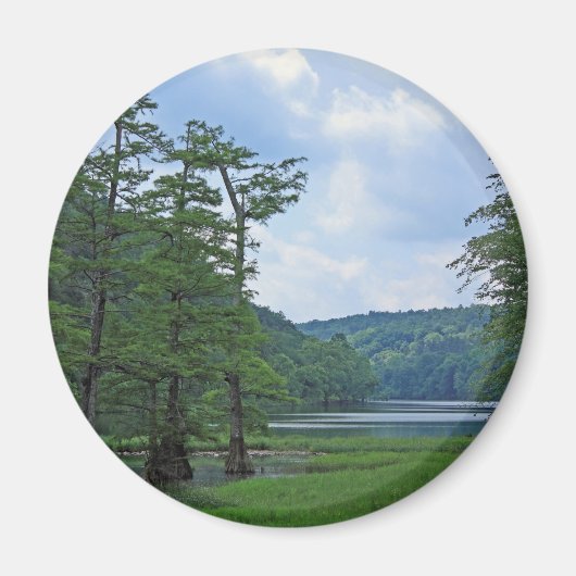 Rij van Bomen magneet (Voorkant)