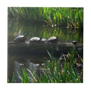 Rij van de groene Natuur van Turtles Foto Tegeltje