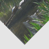 Rij van de groene Natuur van Turtles Foto Tissuepapier (Detail)