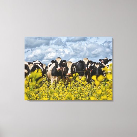 Rij van Holstein Koeien Canvas Afdruk (Voorkant)