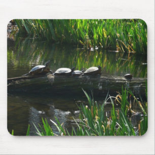 Rij van schildpadden groene natuur foto muismat