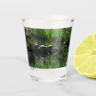 Rij van schildpadden groene natuur foto shot glas