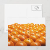 Rij van sinaasappels briefkaart (Voorkant / Achterkant)