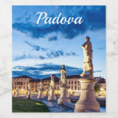 Rij van verlichte beelden in Padova Wijn Etiket (Enkel label)