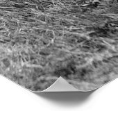 Rijbereik: 1917 poster (Hoek)