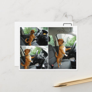 Rijbewijs felicitatiekaart briefkaart