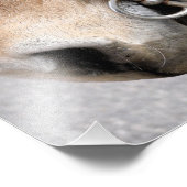 Rijbit Foto Afdruk (Hoek)