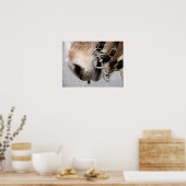 Rijbit Poster (Keuken)