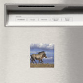 Rijden Magneet (Insitu (Vaatwasser))