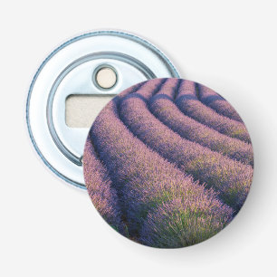 Rijen lavendel in Provence Button Flesopener