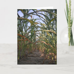 "Rijen van Corn" - Birthdaykaart Kaart