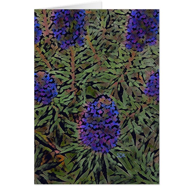 Rijen van lavendel (Voorkant)