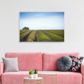 Rijen van lavendel na oogstdoek canvas afdruk (Insitu (Woonkamer))
