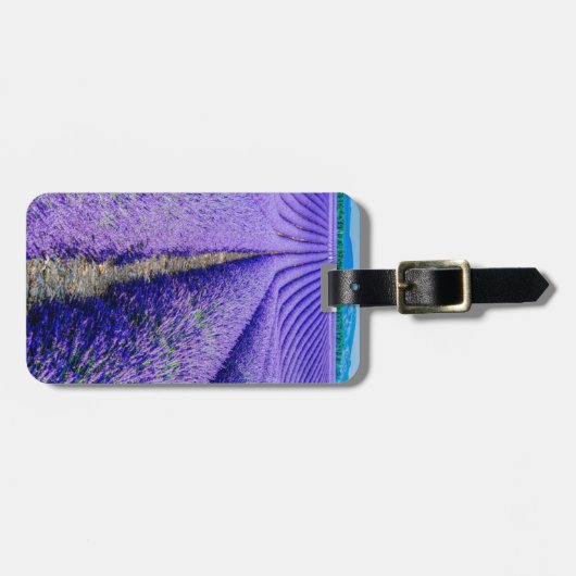Rijen van Lavender, Provence, Frankrijk Bagagelabel (Voorkant horizontaal)