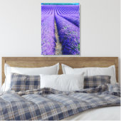 Rijen van Lavender, Provence, Frankrijk Canvas Afdruk (Insitu (Slaapkamer))