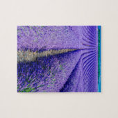Rijen van Lavender, Provence, Frankrijk Legpuzzel (Horizontaal)