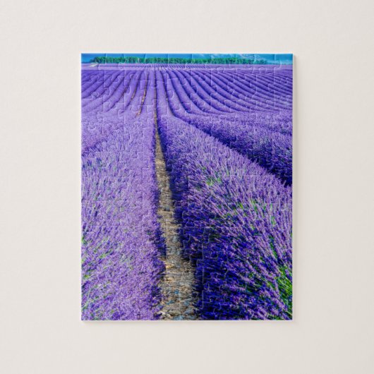 Rijen van Lavender, Provence, Frankrijk Legpuzzel (Verticaal)