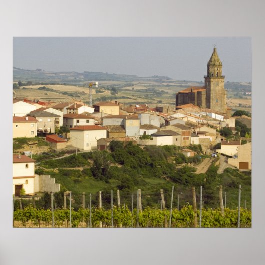 Rijen van wijnstokken in het voorgrondse lijst poster (Voorkant)